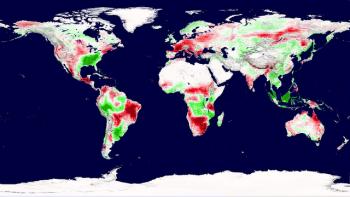 Photo: Drought Drives Decade-Long Decline in Plant Growth